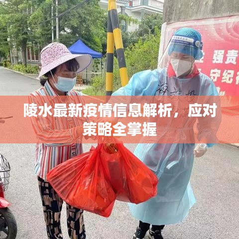 陵水最新疫情信息解析，應(yīng)對策略全掌握