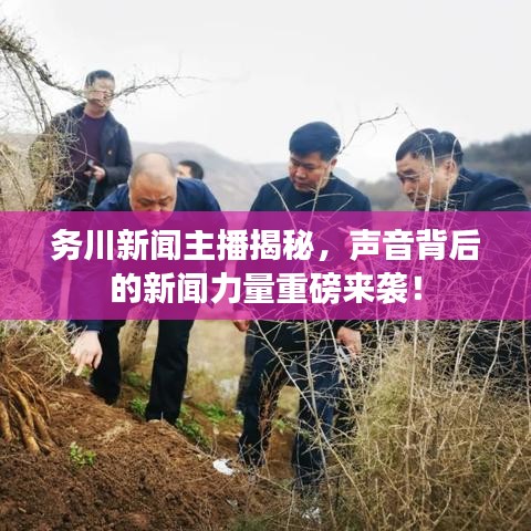 務(wù)川新聞主播揭秘，聲音背后的新聞力量重磅來襲！