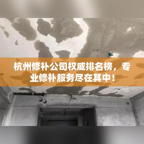 杭州修補公司權(quán)威排名榜，專業(yè)修補服務(wù)盡在其中！