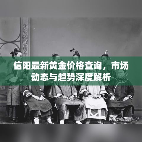 信陽(yáng)最新黃金價(jià)格查詢(xún)，市場(chǎng)動(dòng)態(tài)與趨勢(shì)深度解析