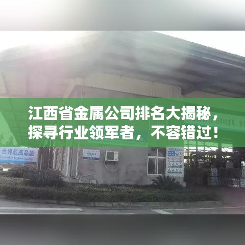 江西省金屬公司排名大揭秘，探尋行業(yè)領(lǐng)軍者，不容錯(cuò)過！