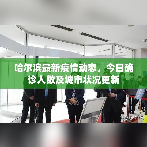 哈爾濱最新疫情動(dòng)態(tài)，今日確診人數(shù)及城市狀況更新