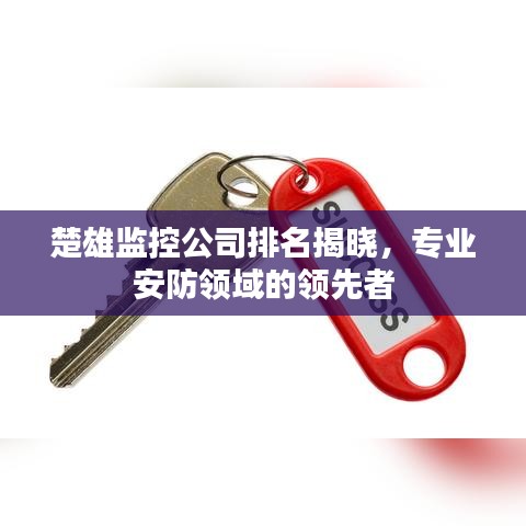楚雄監(jiān)控公司排名揭曉，專業(yè)安防領(lǐng)域的領(lǐng)先者
