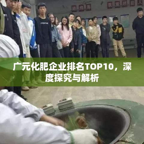 廣元化肥企業(yè)排名TOP10，深度探究與解析