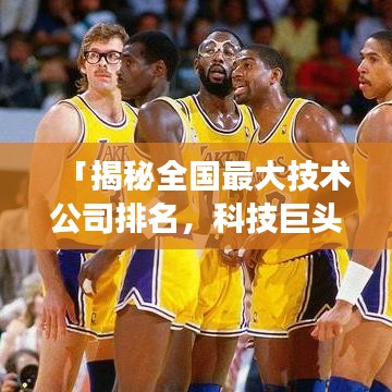「揭秘全國最大技術(shù)公司排名，科技巨頭背后的力量角逐」