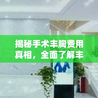 揭秘手術(shù)豐胸費(fèi)用真相，全面了解豐胸費(fèi)用細(xì)節(jié)！