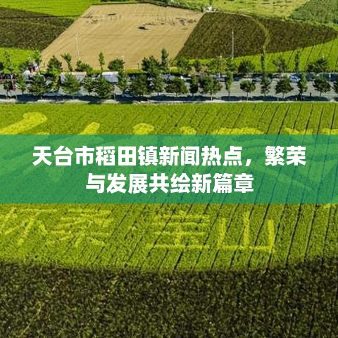天臺(tái)市稻田鎮(zhèn)新聞熱點(diǎn)，繁榮與發(fā)展共繪新篇章