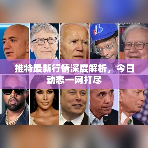 推特最新行情深度解析，今日動態(tài)一網(wǎng)打盡