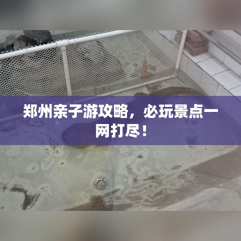 鄭州親子游攻略，必玩景點(diǎn)一網(wǎng)打盡！