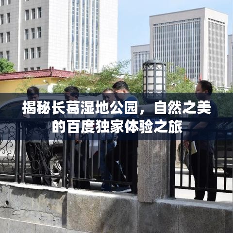 揭秘長葛濕地公園，自然之美的百度獨家體驗之旅