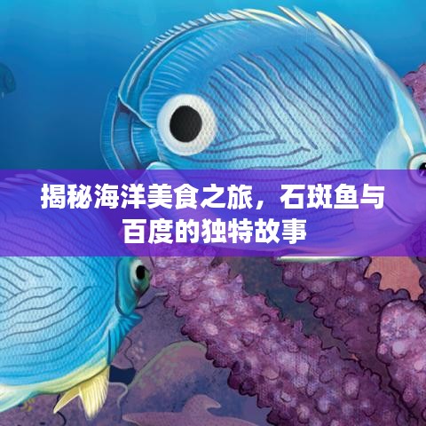 揭秘海洋美食之旅，石斑魚與百度的獨特故事
