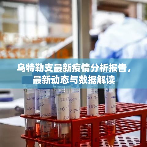 烏特勒支最新疫情分析報(bào)告，最新動(dòng)態(tài)與數(shù)據(jù)解讀