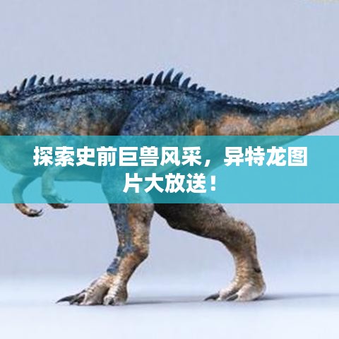 探索史前巨獸風(fēng)采，異特龍圖片大放送！