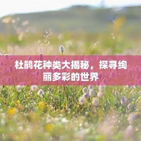 杜鵑花種類大揭秘，探尋絢麗多彩的世界
