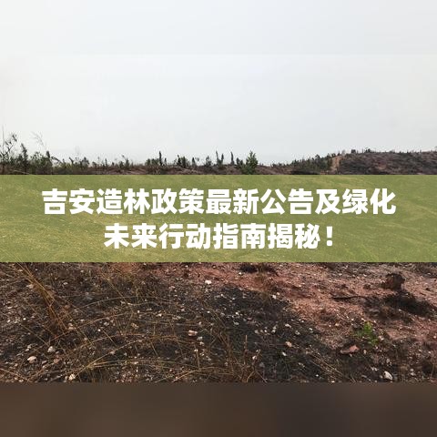 吉安造林政策最新公告及綠化未來(lái)行動(dòng)指南揭秘！