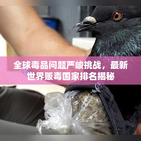 全球毒品問題嚴(yán)峻挑戰(zhàn)，最新世界販毒國家排名揭秘