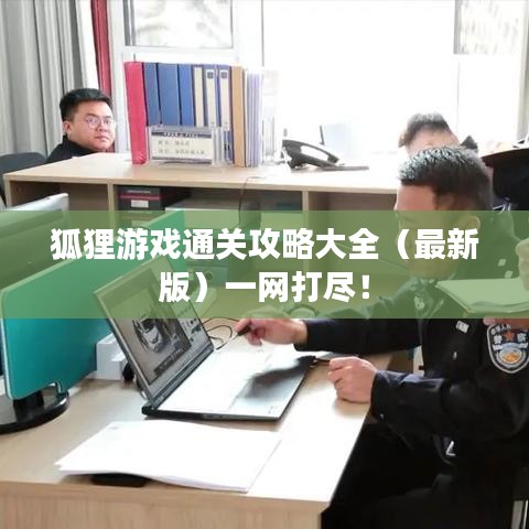 狐貍游戲通關(guān)攻略大全（最新版）一網(wǎng)打盡！