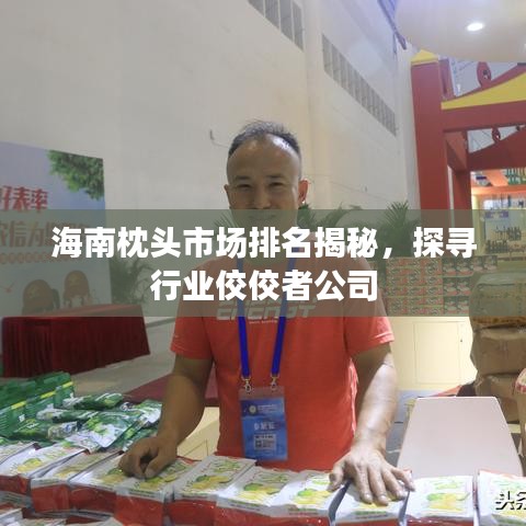 海南枕頭市場(chǎng)排名揭秘，探尋行業(yè)佼佼者公司