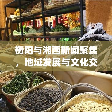 衡陽與湘西新聞聚焦，地域發(fā)展與文化交融引領(lǐng)時代潮流