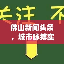 佛山新聞頭條，城市脈搏實時掌握，熱點資訊一手傳遞