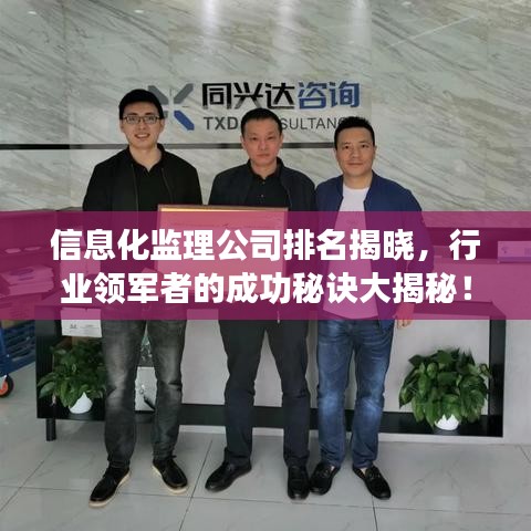 信息化監(jiān)理公司排名揭曉，行業(yè)領(lǐng)軍者的成功秘訣大揭秘！