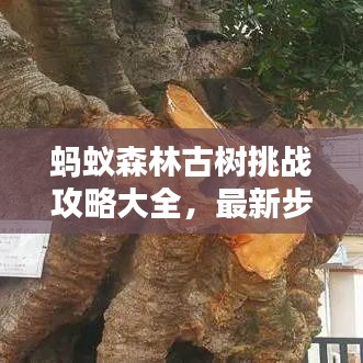 螞蟻森林古樹(shù)挑戰(zhàn)攻略大全，最新步驟解析，輕松玩轉(zhuǎn)古樹(shù)挑戰(zhàn)！