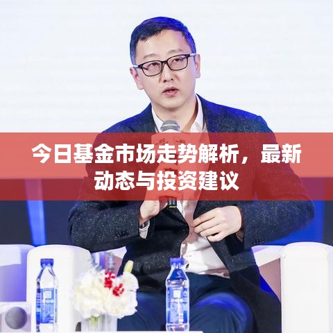 今日基金市場走勢解析，最新動(dòng)態(tài)與投資建議
