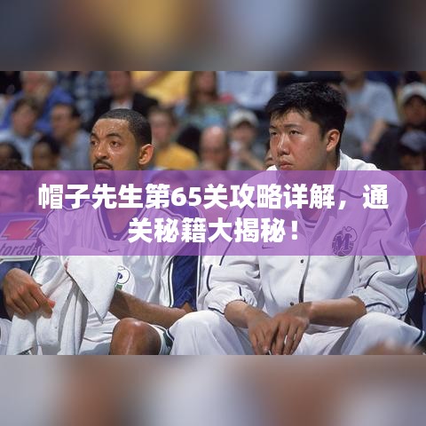 帽子先生第65關(guān)攻略詳解，通關(guān)秘籍大揭秘！