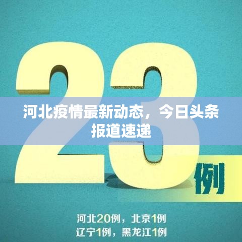 河北疫情最新動(dòng)態(tài)，今日頭條報(bào)道速遞