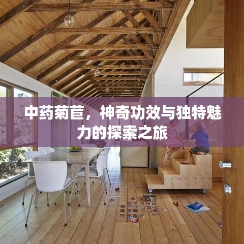 中藥菊苣，神奇功效與獨(dú)特魅力的探索之旅
