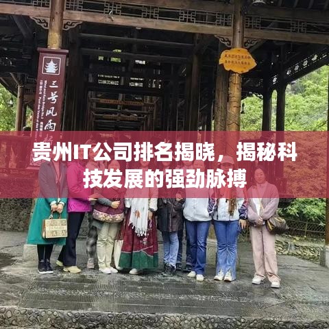 貴州IT公司排名揭曉，揭秘科技發(fā)展的強勁脈搏