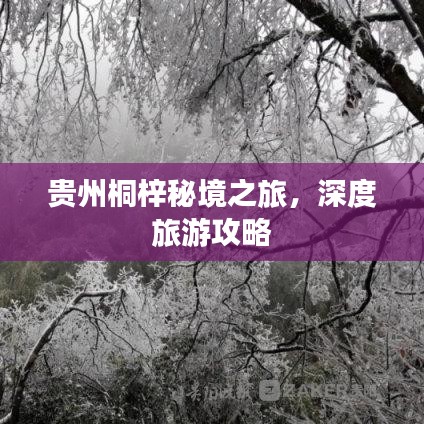 貴州桐梓秘境之旅，深度旅游攻略