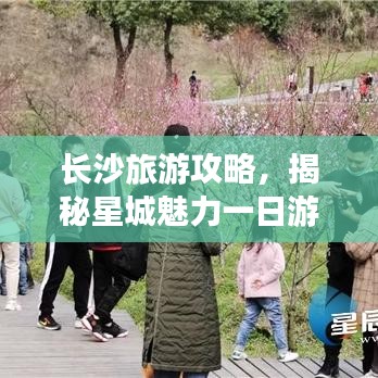 第1362頁