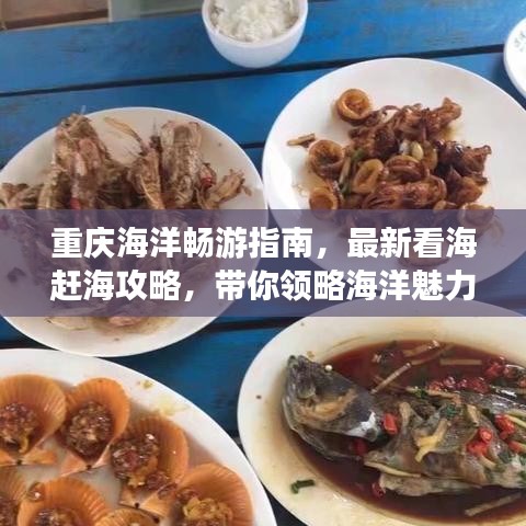 重慶海洋暢游指南，最新看海趕海攻略，帶你領(lǐng)略海洋魅力