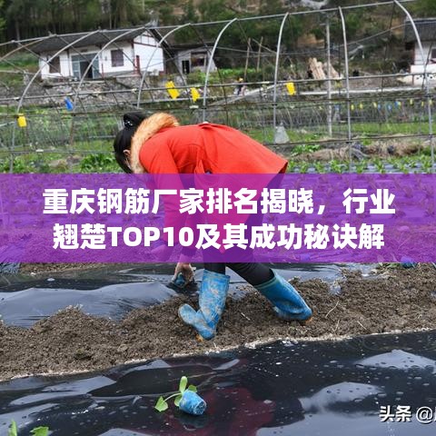 重慶鋼筋廠家排名揭曉，行業(yè)翹楚TOP10及其成功秘訣解讀
