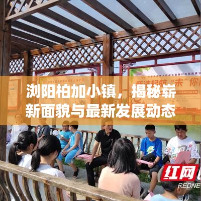 瀏陽(yáng)柏加小鎮(zhèn)，揭秘嶄新面貌與最新發(fā)展動(dòng)態(tài)
