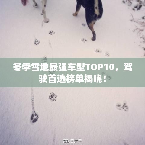 冬季雪地最強車型TOP10，駕駛首選榜單揭曉！