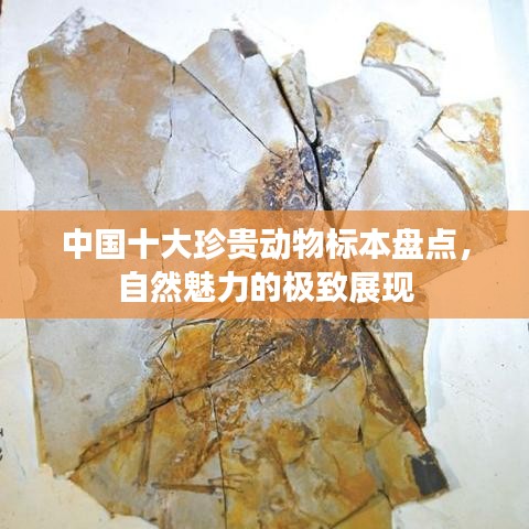 新聞動態(tài) 第1371頁