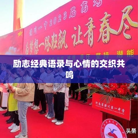勵志經(jīng)典語錄與心情的交織共鳴