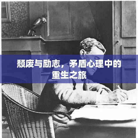 新聞動(dòng)態(tài) 第1365頁