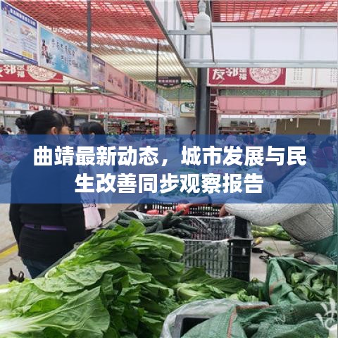 曲靖最新動態(tài)，城市發(fā)展與民生改善同步觀察報告