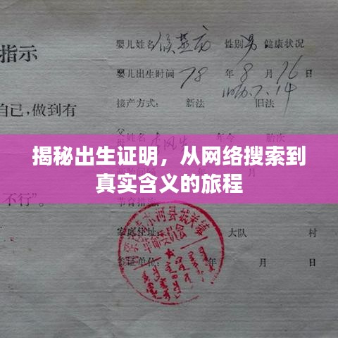 揭秘出生證明，從網(wǎng)絡(luò)搜索到真實(shí)含義的旅程