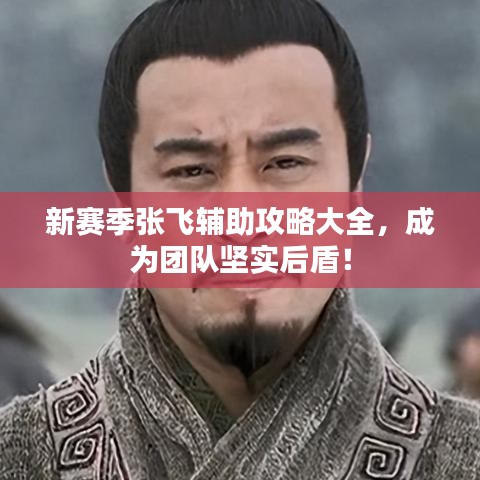 新賽季張飛輔助攻略大全，成為團(tuán)隊(duì)堅(jiān)實(shí)后盾！