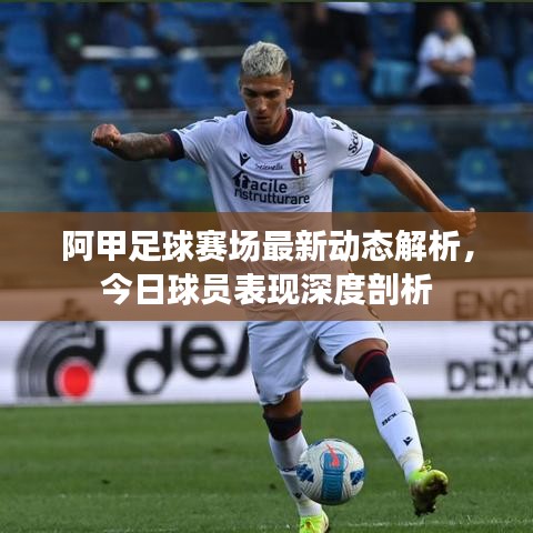 阿甲足球賽場最新動態(tài)解析，今日球員表現(xiàn)深度剖析