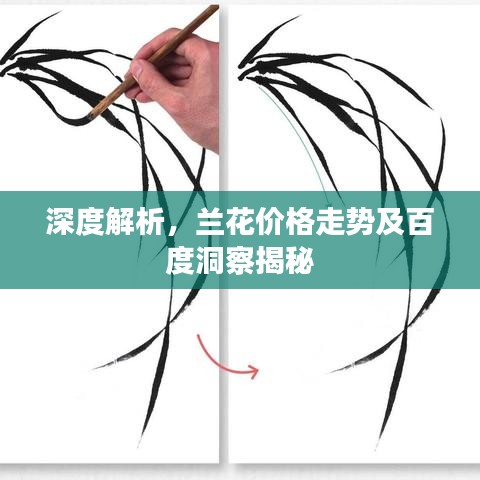 深度解析，蘭花價(jià)格走勢(shì)及百度洞察揭秘