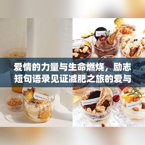 愛情的力量與生命燃燒，勵志短句語錄見證減肥之旅的愛與堅持