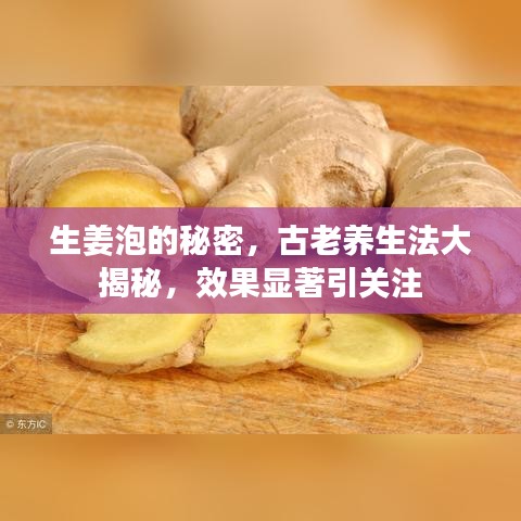 第1244頁