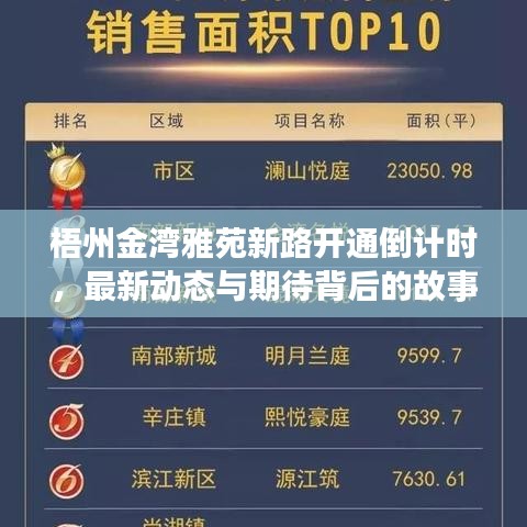 梧州金灣雅苑新路開通倒計(jì)時(shí)，最新動(dòng)態(tài)與期待背后的故事解讀